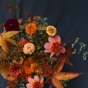 Meet your Posher, Deb